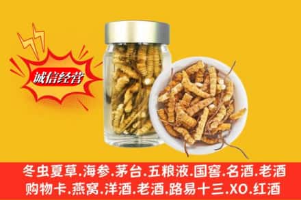 石嘴山惠农区回收散虫草